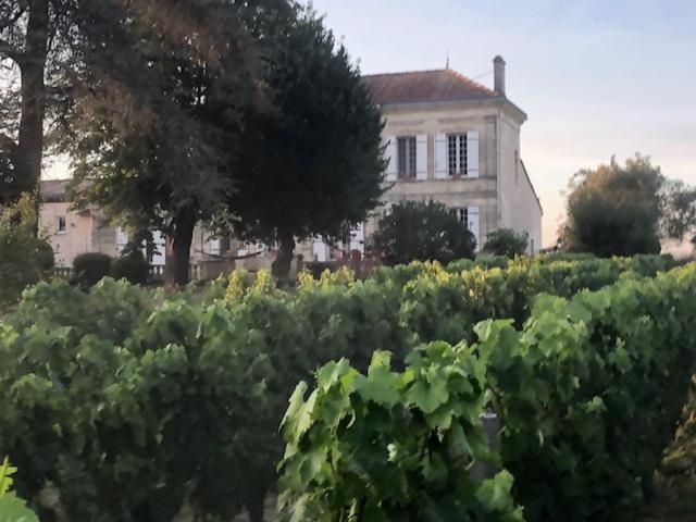 Chateau Couchebout Bed & Breakfast Pugnac Екстериор снимка